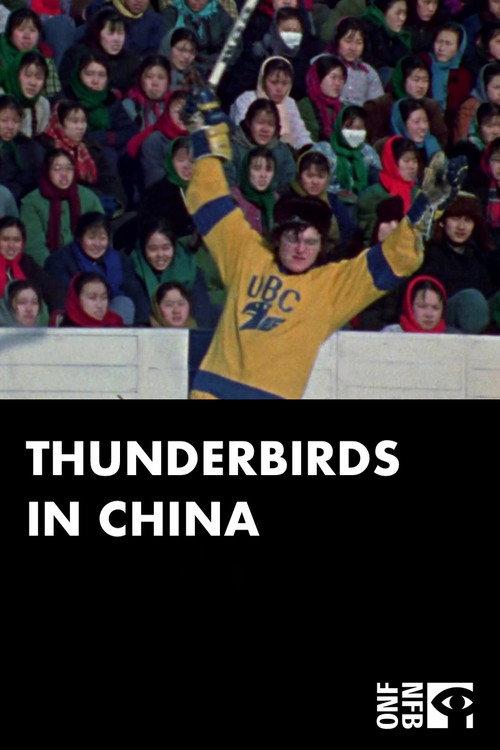 Thunderbirds in China 1974 official movie poster