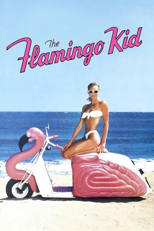 The Flamingo Kid 1984 official movie poster