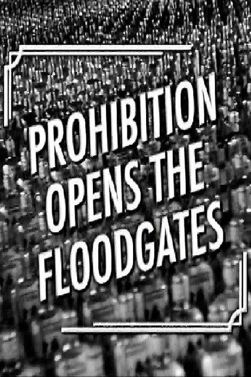 Prohibition Opens the Floodgates 2006 official movie poster