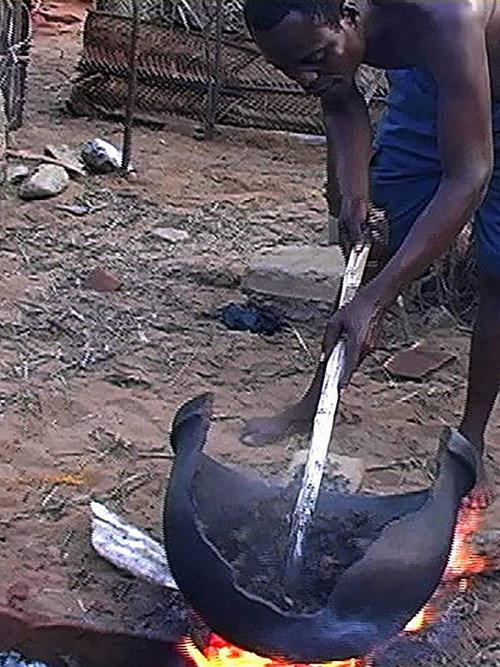 African Herbsmen: Healing and Religion along the Bight of Benin 2012 official movie poster