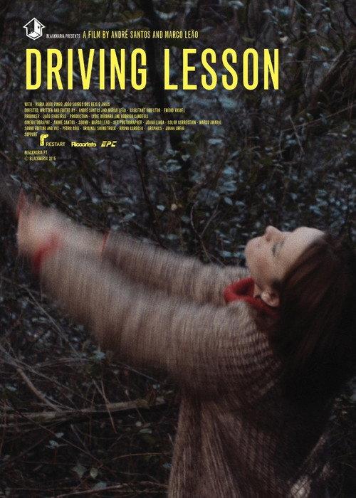 Driving Lesson 2015 official movie poster