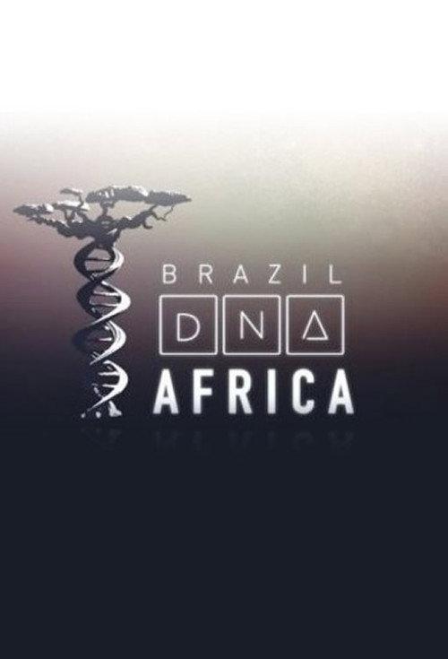 Brasil DNA Africa 2016 official movie poster