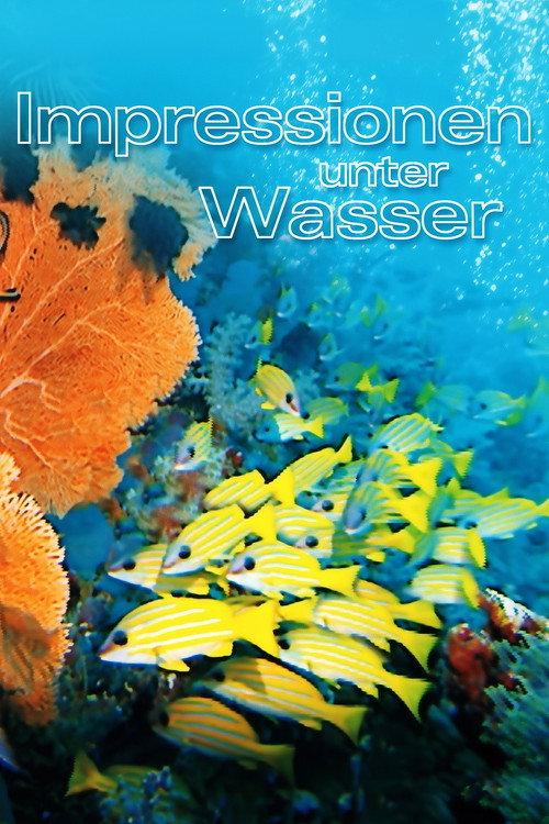Underwater Impressions 2002 official movie poster