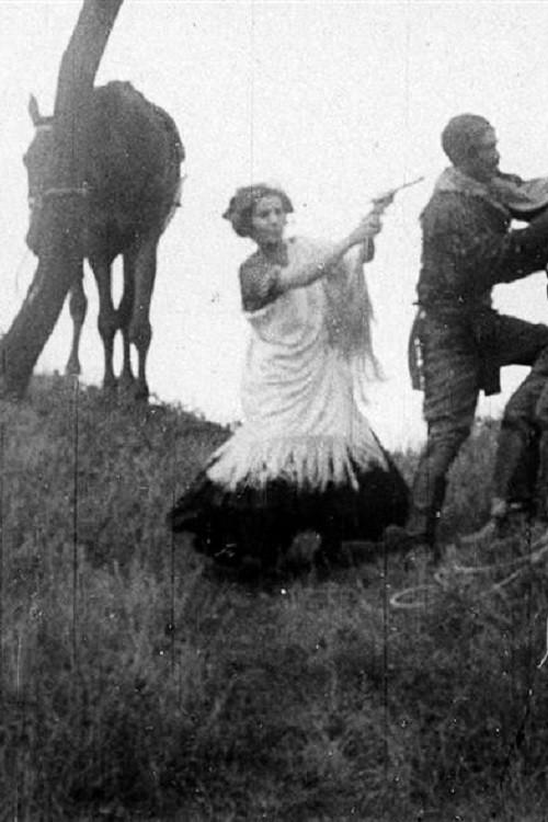 Sokové 1911 official movie poster
