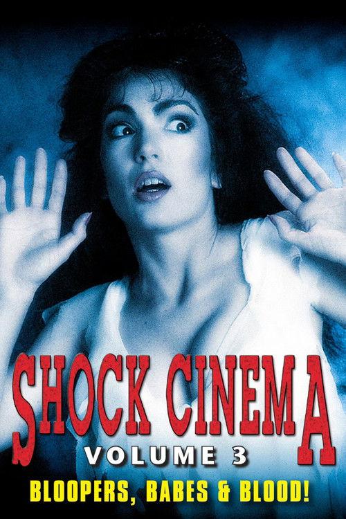 Shock Cinema: Volume Three 1991 official movie poster
