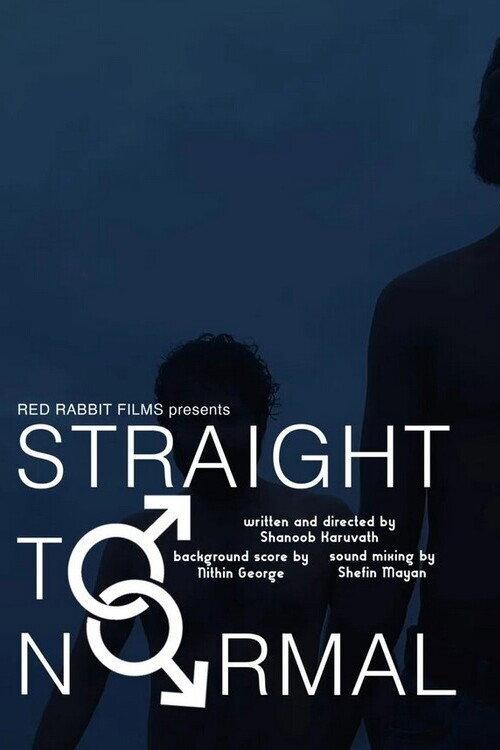Straight to Normal 2023 official movie poster