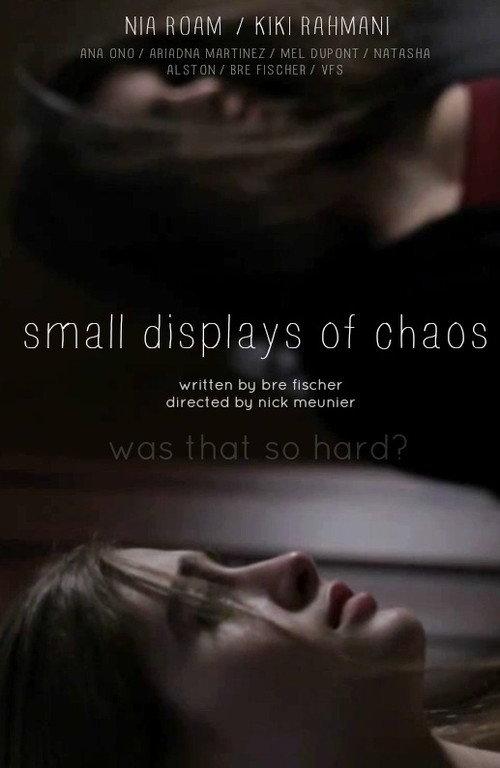 Small Displays of Chaos 2015 official movie poster