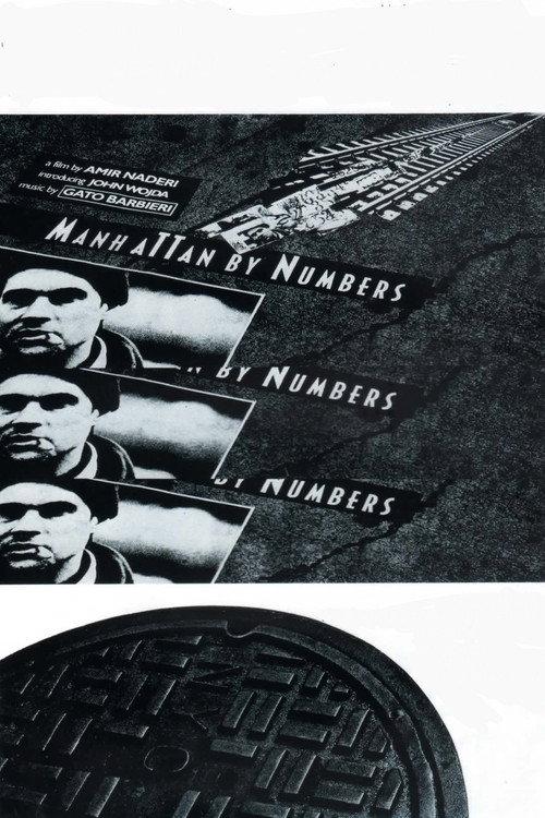 Manhattan by Numbers 1993 official movie poster