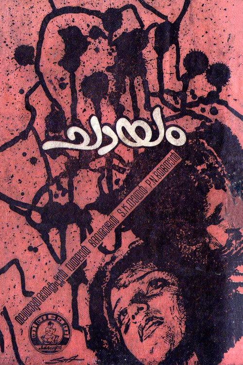 Chaayam 1973 official movie poster