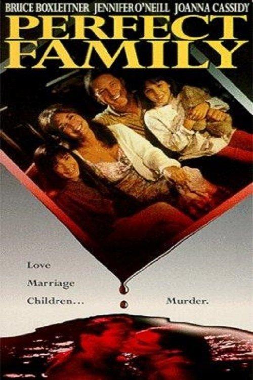 Perfect Family 1992 official movie poster
