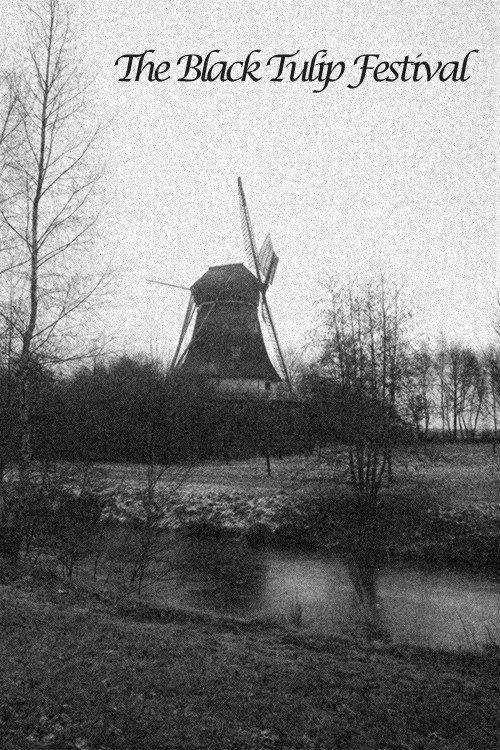 The Black Tulip Festival 1920 official movie poster