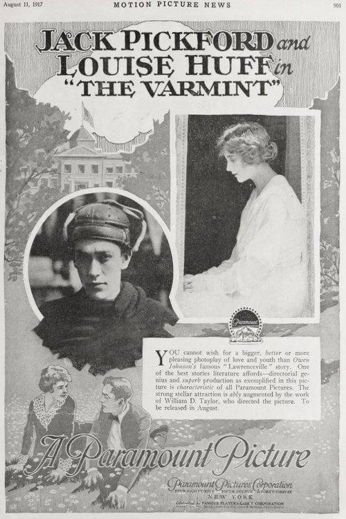 The Varmint 1917 official movie poster