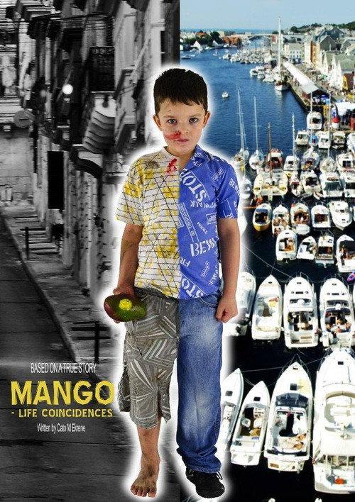Mango: Lifes Coincidences official movie poster