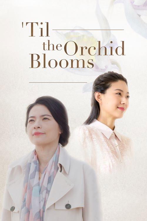 Til the Orchid Blooms 2020 official movie poster