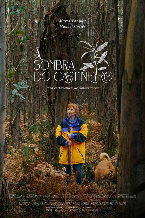 Under the Chestnut Tree 2024 official movie poster