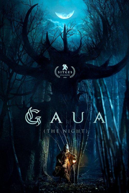 Gaua (The Night) 2025 official movie poster