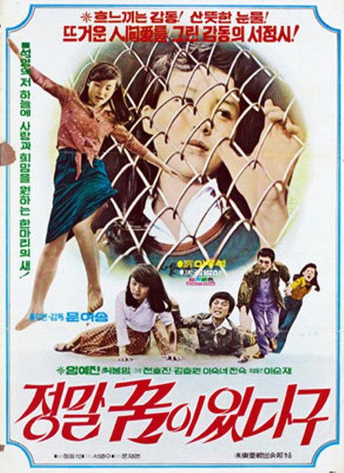 I Really Have a Dream 1976 official movie poster