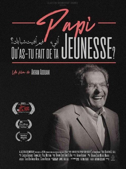 Papi, Qu'as Tu Fait De Ta Jeunesse?  official movie poster