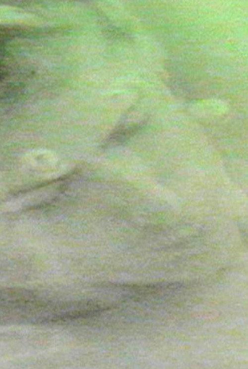 finally destroy us 1991 official movie poster