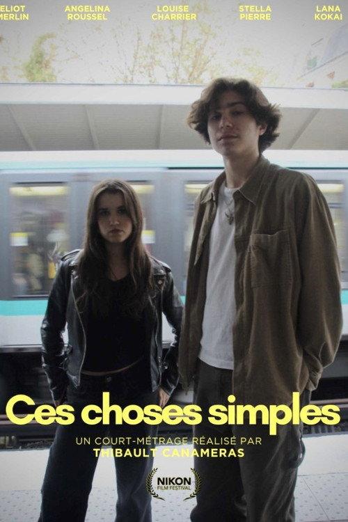 These Simple Things 2026 official movie poster