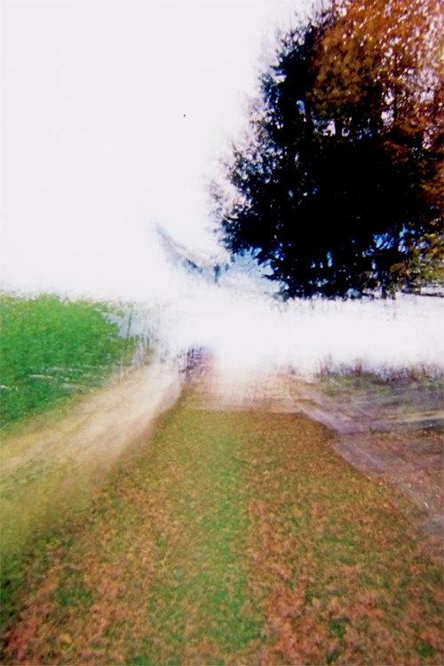 Brouillard #15 2014 official movie poster