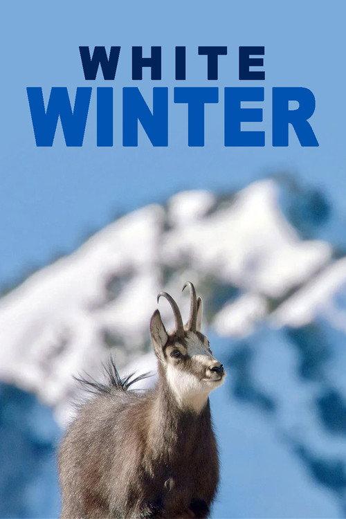 White Winter 2022 official movie poster