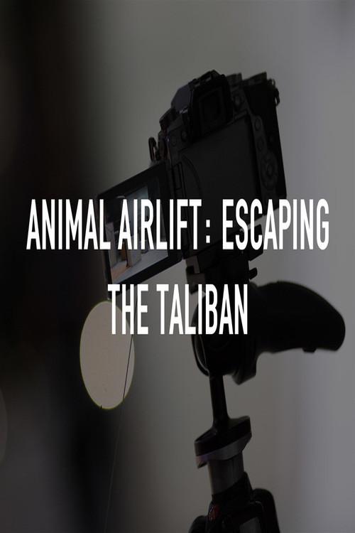Animal Airlift: Escaping the Taliban 2022 official movie poster