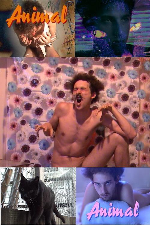Animal 2009 official movie poster