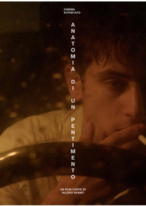 Anatomia di un pentimento  official movie poster