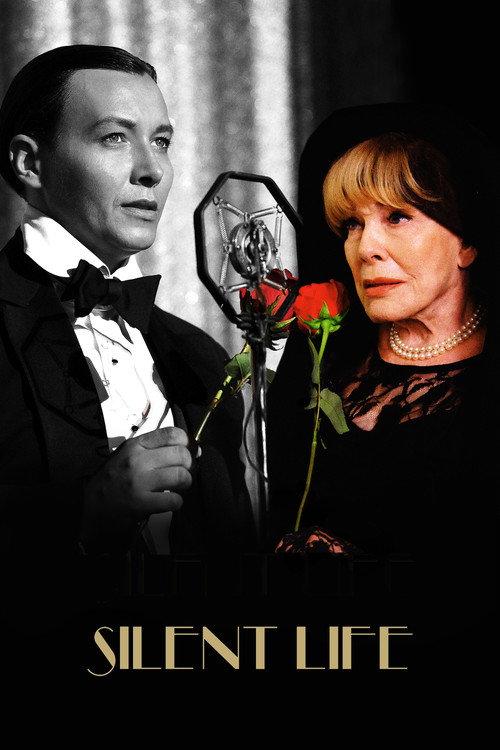 Silent Life: The Story of the Lady in Black 2023 official movie poster