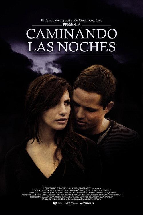 Caminando las noches 2012 official movie poster