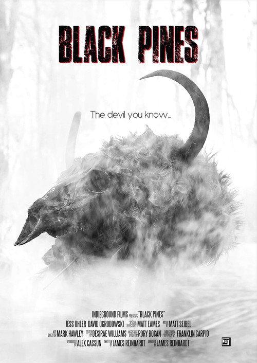 Black Pines 2022 official movie poster