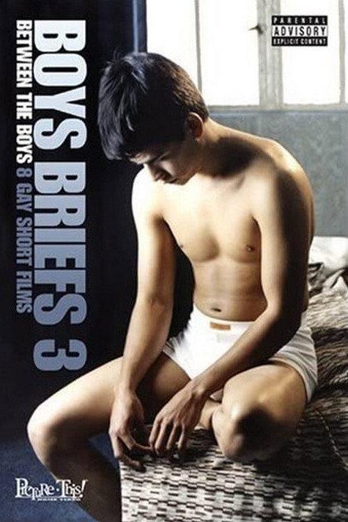 Boys Briefs 3: Between the Boys 2006 official movie poster