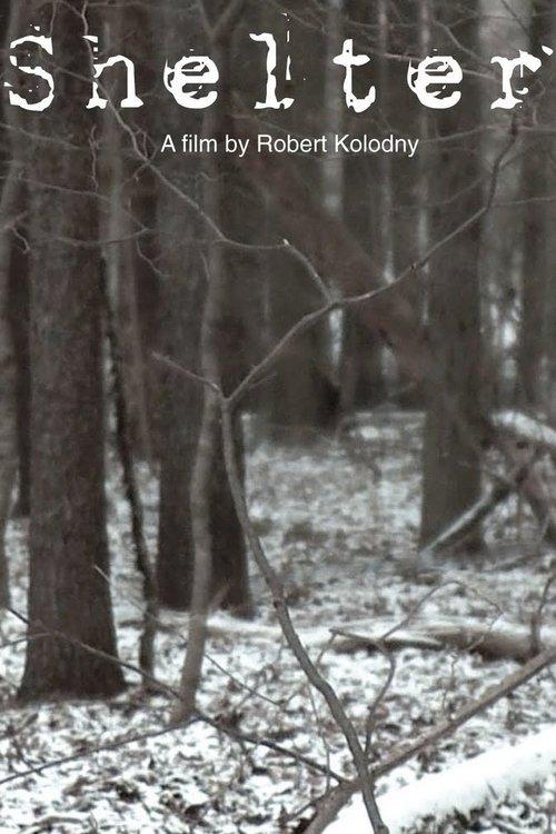 Shelter 2010 official movie poster