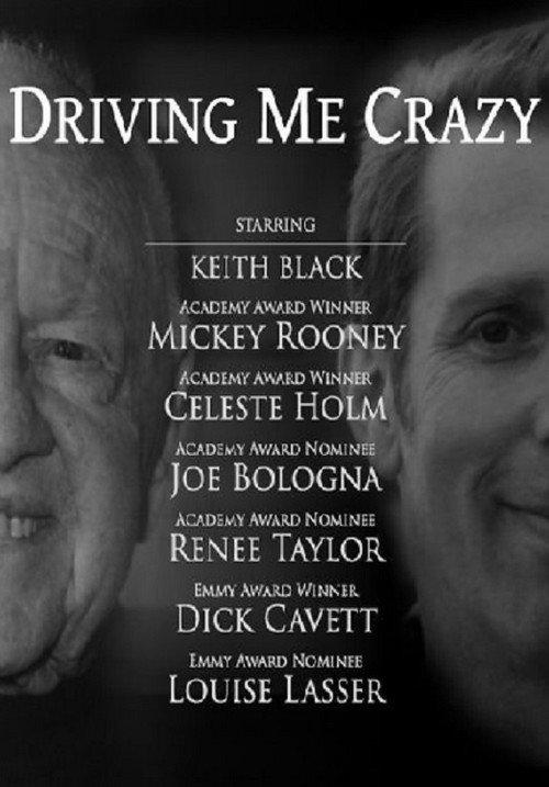 Driving Me Crazy 2012 official movie poster
