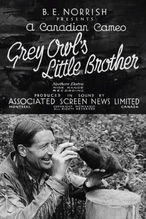 Grey Owl's Little Brother 1932 official movie poster