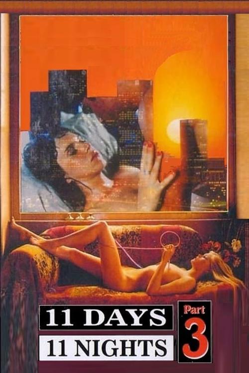 11 Days, 11 Nights Part 3 1989 official movie poster