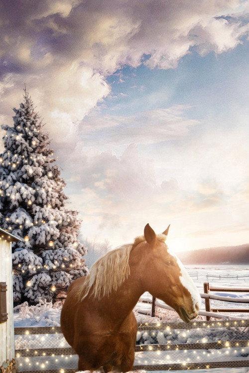 December Horses 2023 official movie poster
