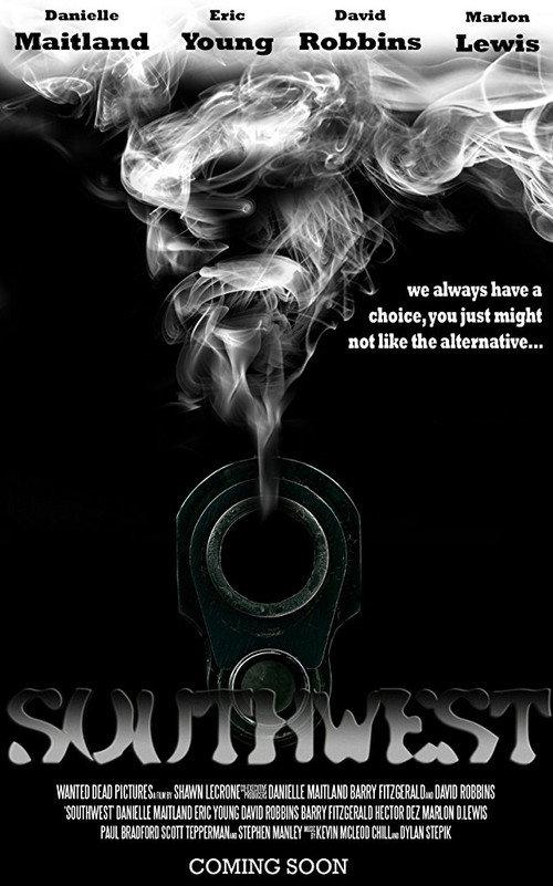 Southwest 2013 official movie poster