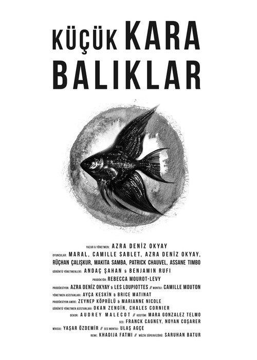 Little Black Fishes 2013 official movie poster