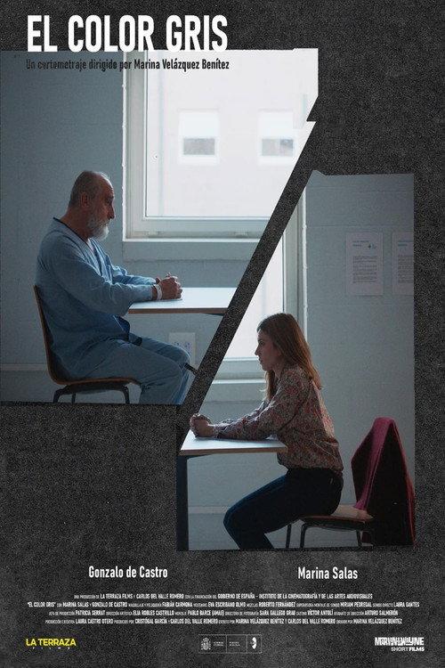 El color gris 2025 official movie poster
