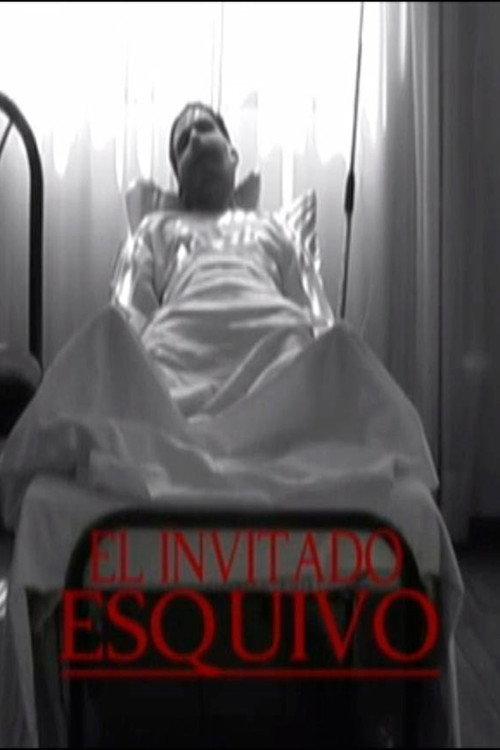 El Invitado Esquivo 2008 official movie poster