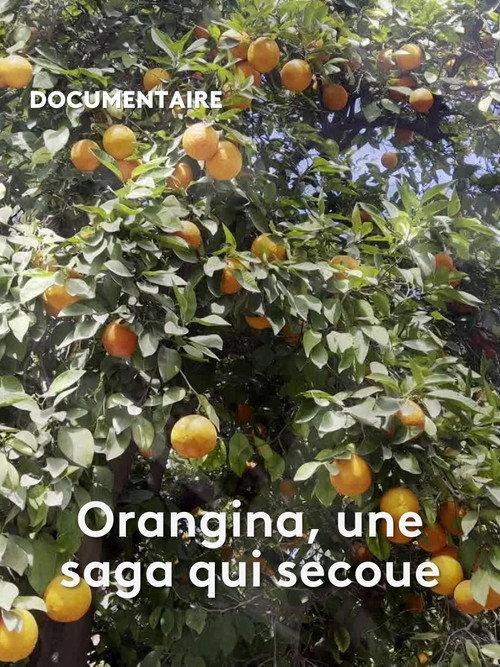 Orangina, une saga qui secoue 2024 official movie poster