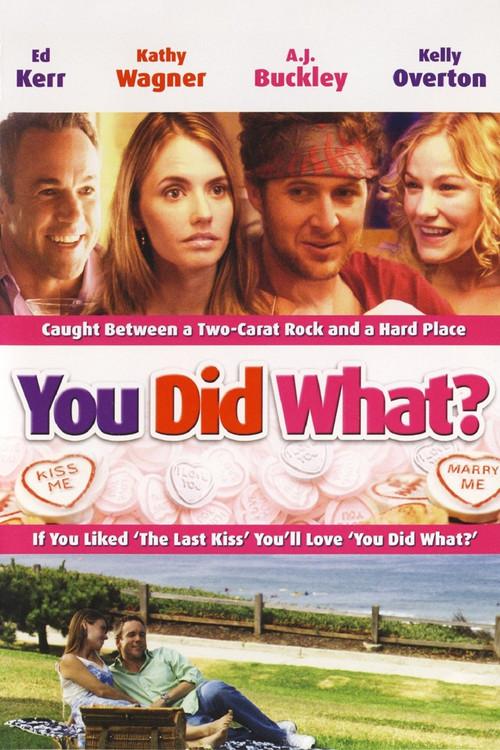 You Did What? 2006 official movie poster