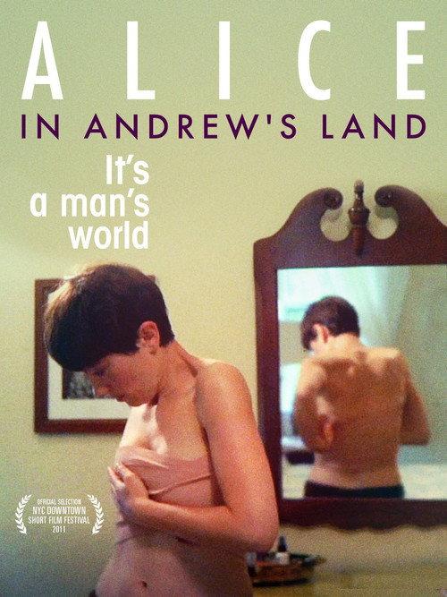 Alice in Andrew's Land 2011 official movie poster