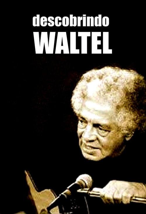 Descobrindo Waltel 2005 official movie poster