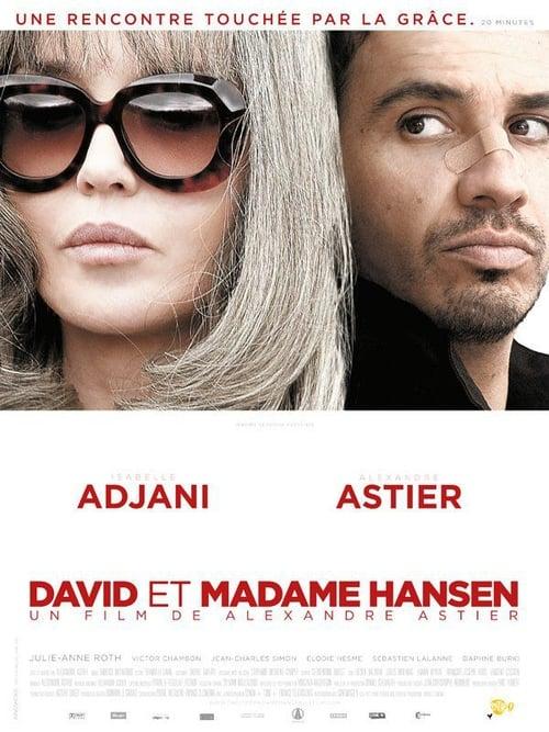 David et Madame Hansen 2012 official movie poster
