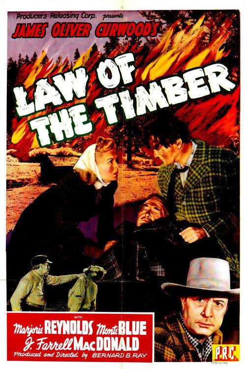 Law of the Timber 1941 official movie poster