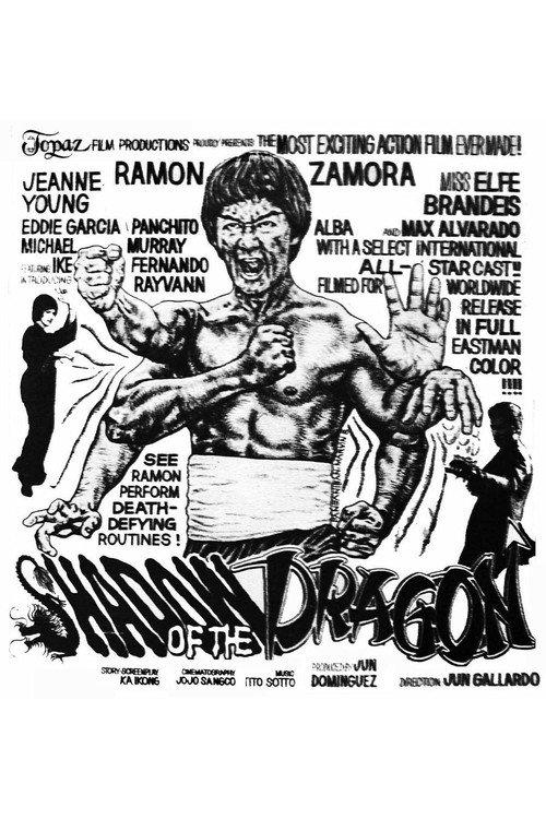 Shadow of the Dragon 1973 official movie poster
