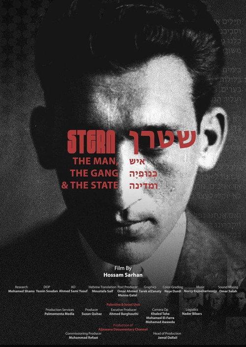 Stern: The Man, the Gang, and the State official movie poster